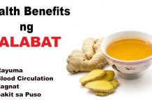 Mga Health Benefits ng Salabat (Ginger Tea) HEalth benefits ng salabat