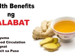 HEalth benefits ng salabat